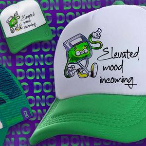 Elevated Mood Snapback